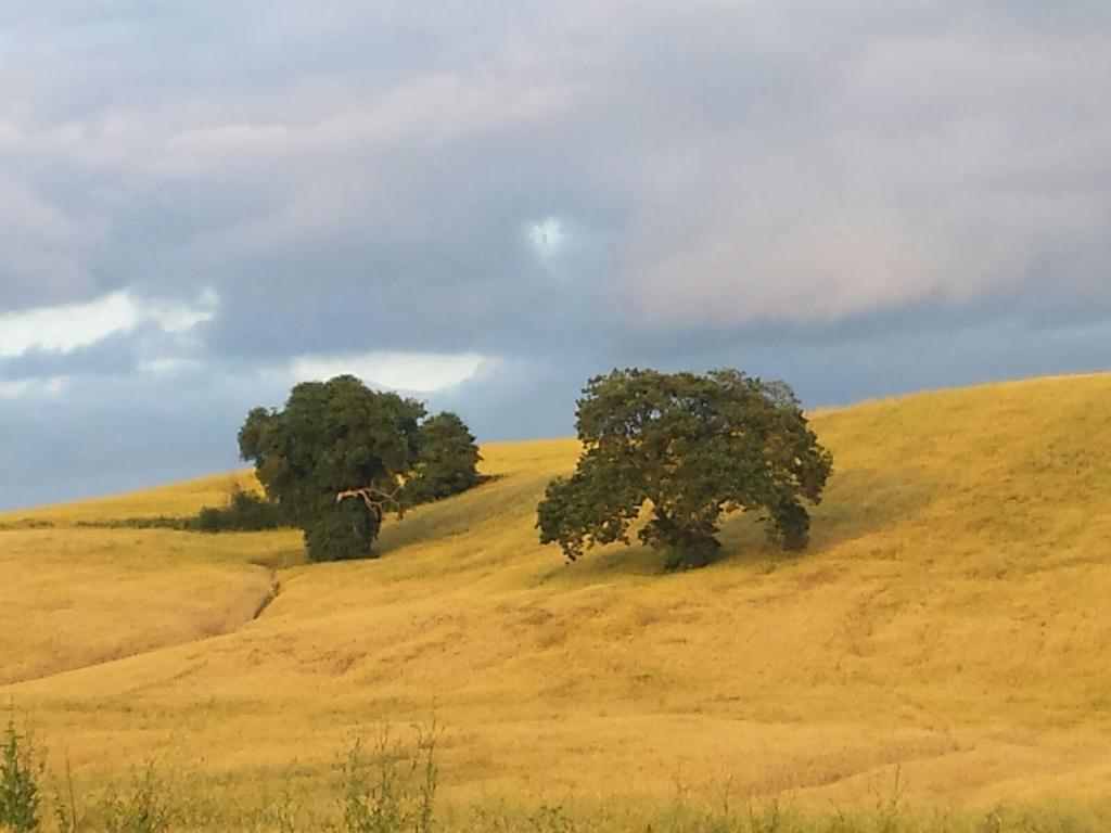 Agriturismo San Pierino Monteroni d'Arbia Eksteriør billede